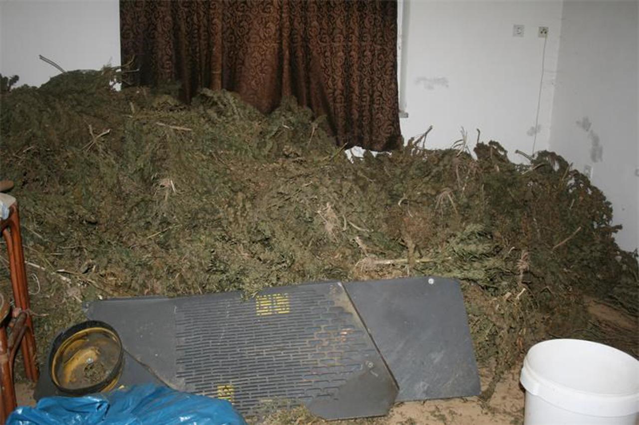 U pretragama 40-godišnjaku oduzeto oko 868 kilograma marihuane