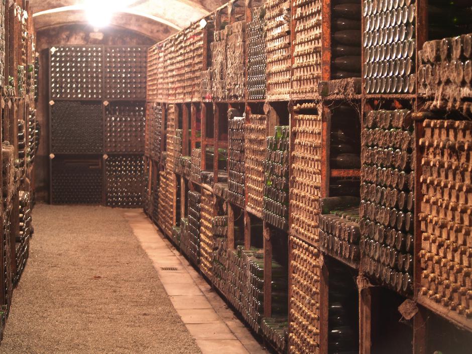 Kutjevo – najveća arhiva vina u ovom dijelu Europe
