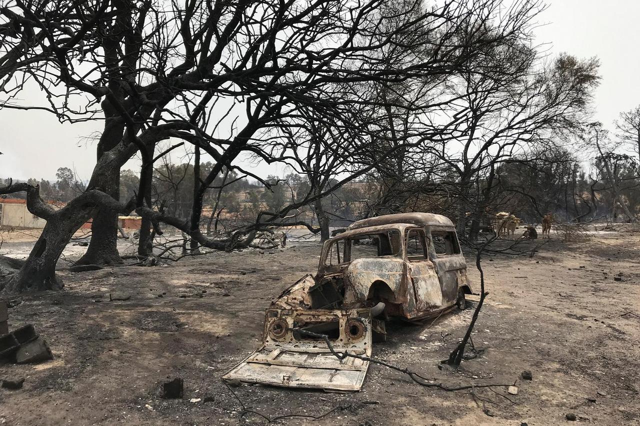 A view shows a burnt vehicle amid burnt trees following a wildfire in El Kala