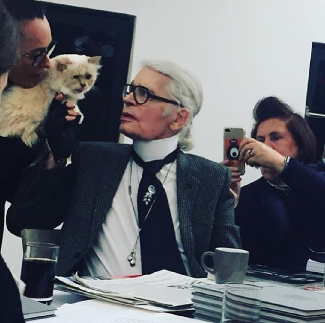 Ljubav prema kućnim ljubimcima neke poznate osobe uspješno su pretvorile u unosan posao i osigurali im popularnost zahvaljujući Instagramu, a najbolji primjer za to je poznati dizajner Karl Lagerfeld i njegova mačka Choupette.