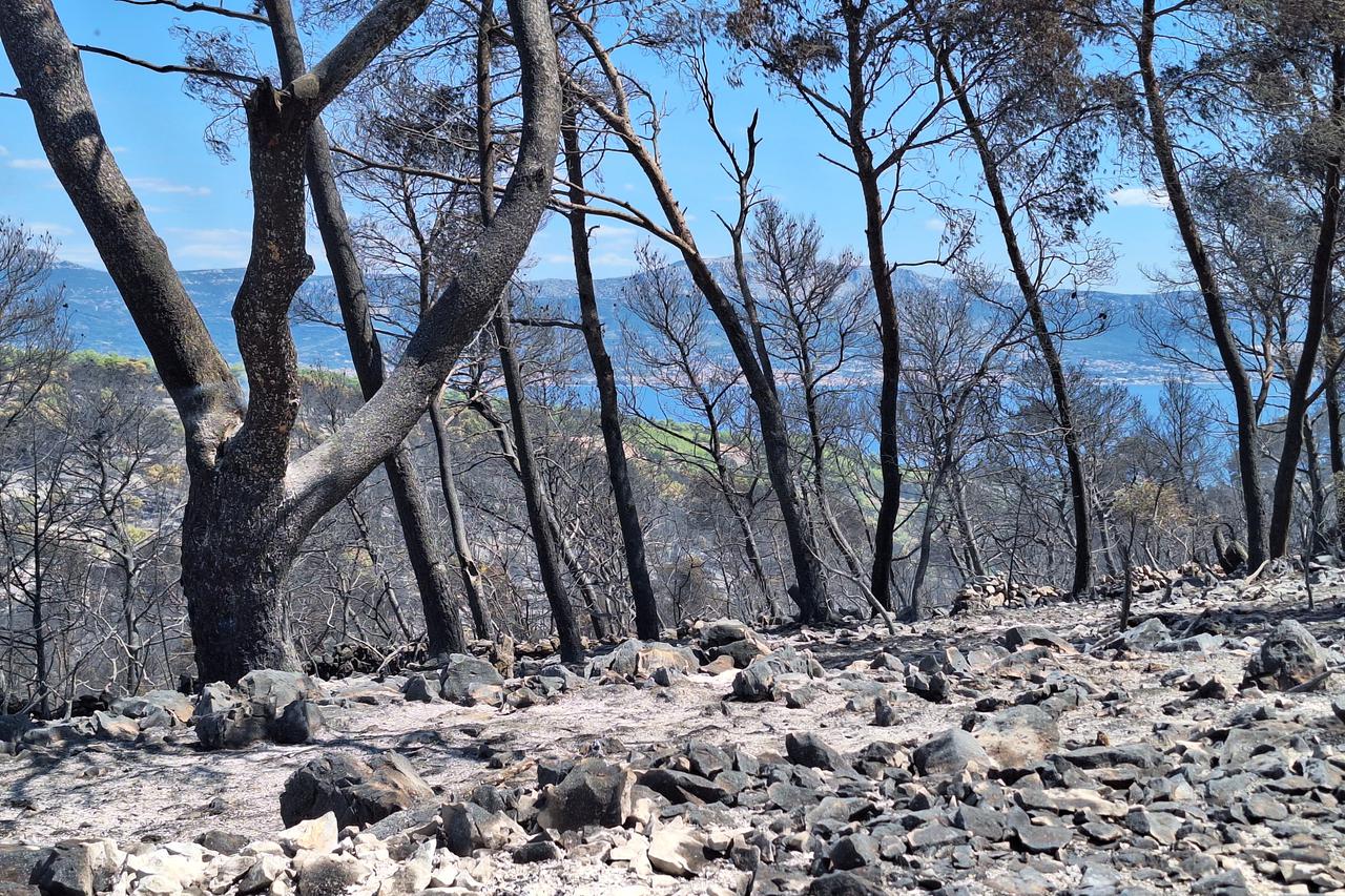 Na otoku Čiovu ponovno buknuo požar