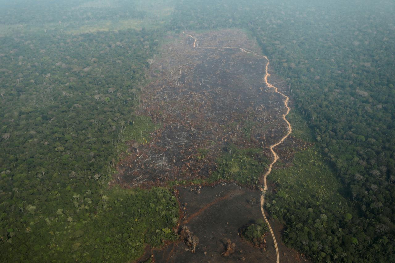 Požari u Amazoniji