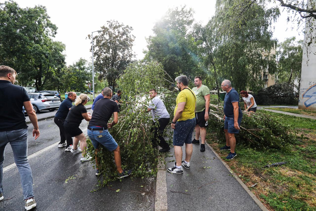 Zagreb: U Gajnicama palo drvo, građani se organizirali i sami uklanjaju grane