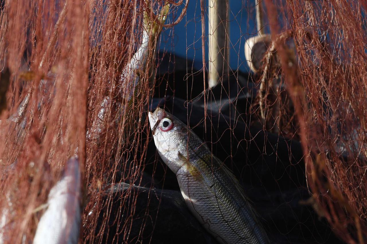 Grebaštica: Unato? buri ribari prazne svoje mreže