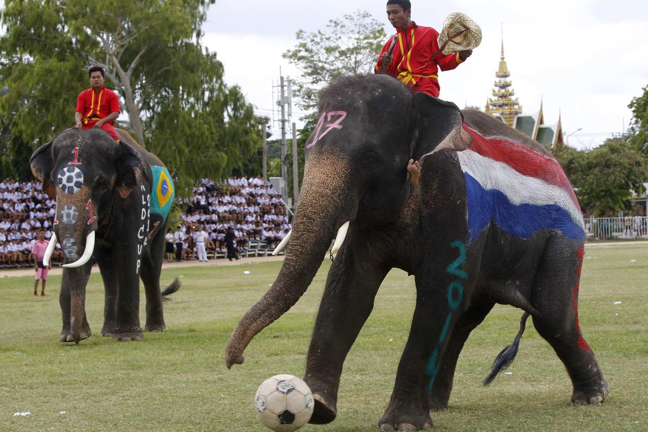 Tajland,slonovi,nogomet