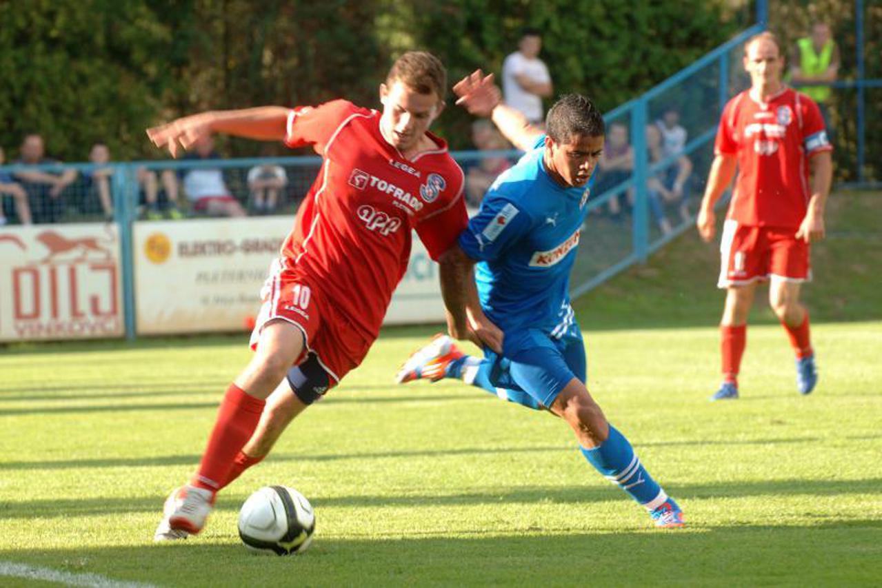 Dinamo Pleternica (1)