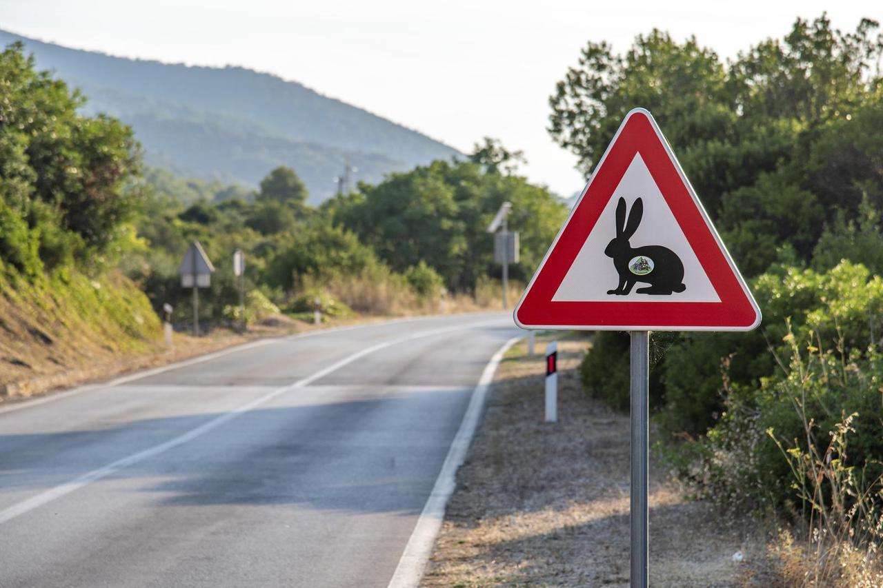 Vis: Neobičan prometni znak opasnosti koji upozorava na skok zečeva na putu