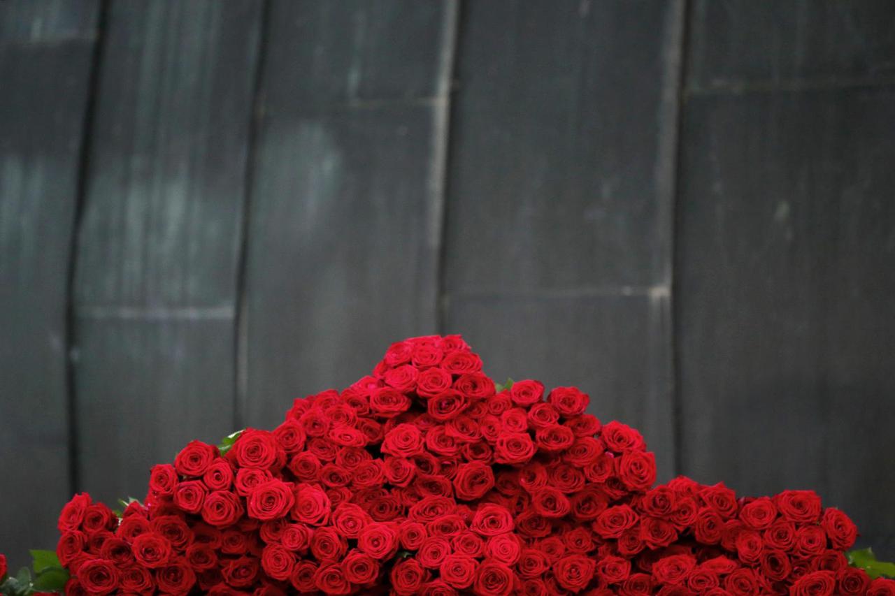 Uoči Valentinova u Hrvatsku uvezeno više od milijun ruža