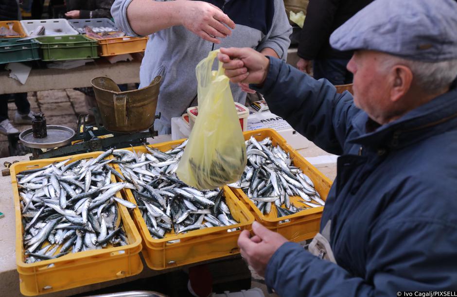 Odllična ponuda ribe na splitskoj tržnici