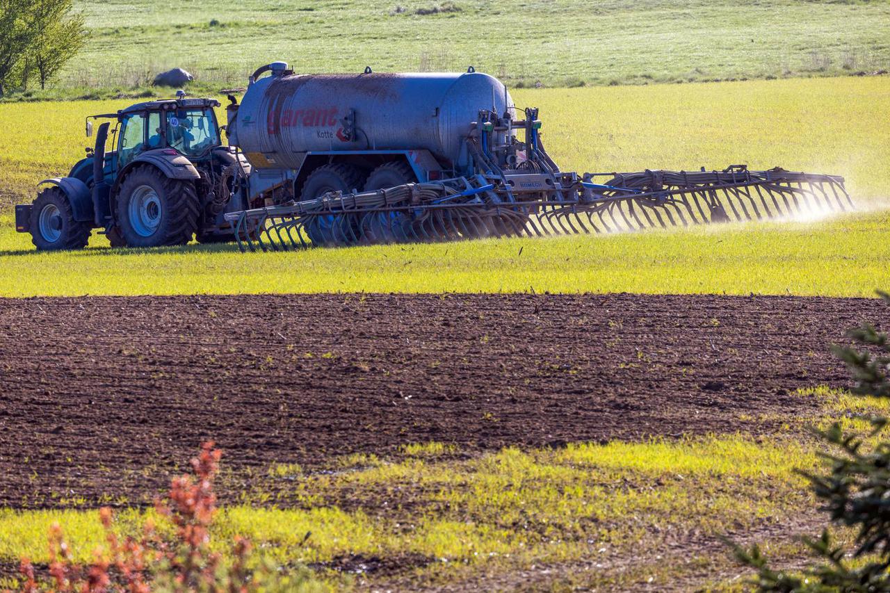 Field thinning with liquid manure