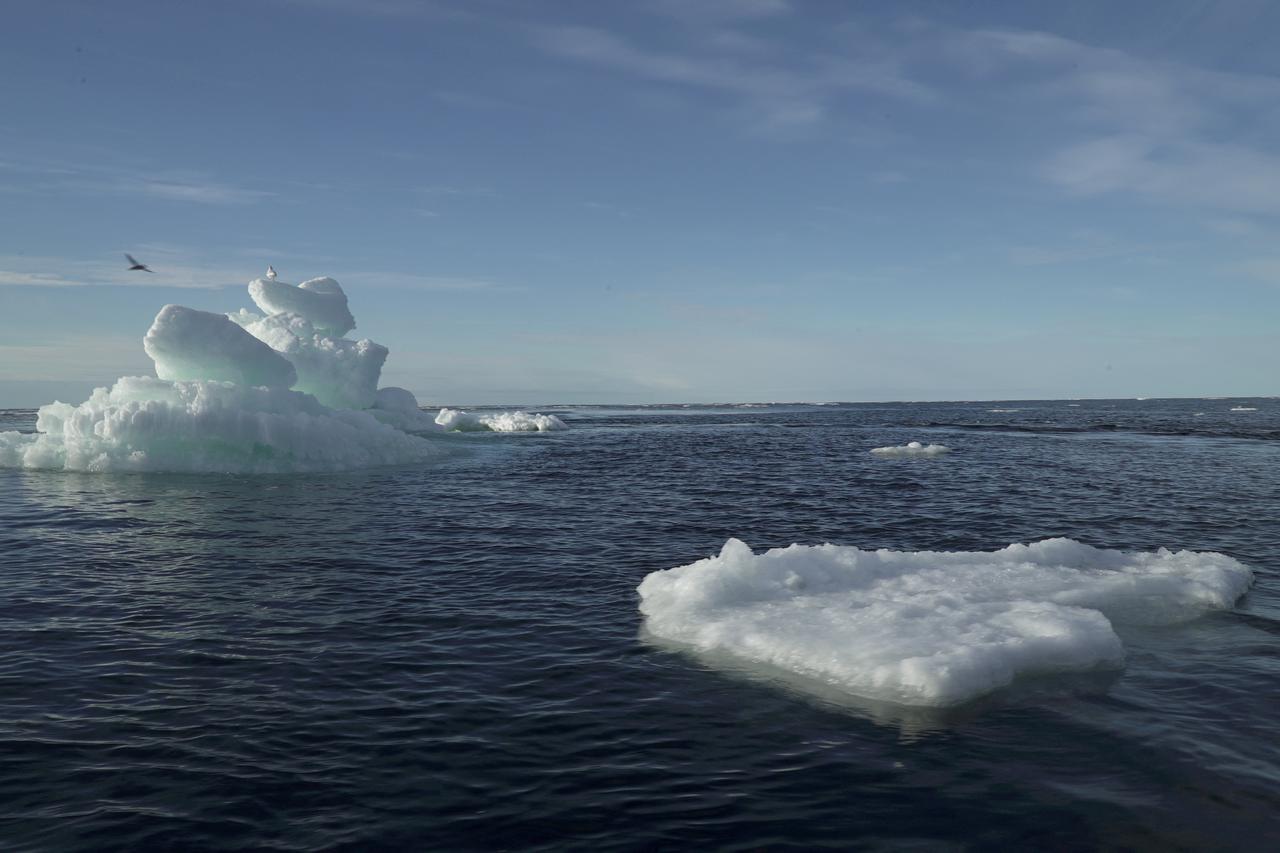FILE PHOTO: Floating ice is seen during the expedition of the The Greenpeace's Arctic Sunrise ship at the Arctic Ocean