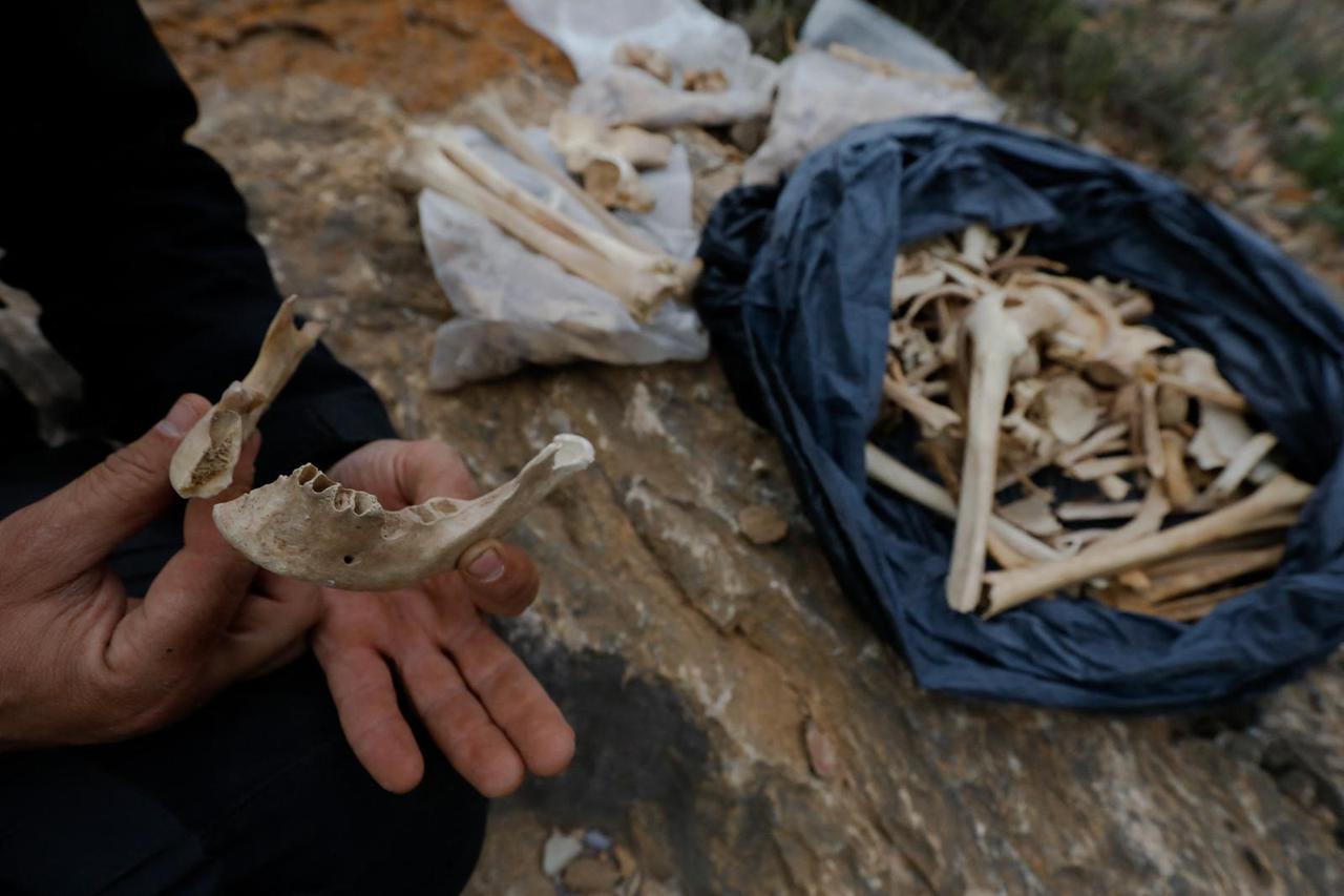 Prehistoric Human Remains Found in archaeological excavations - Spain