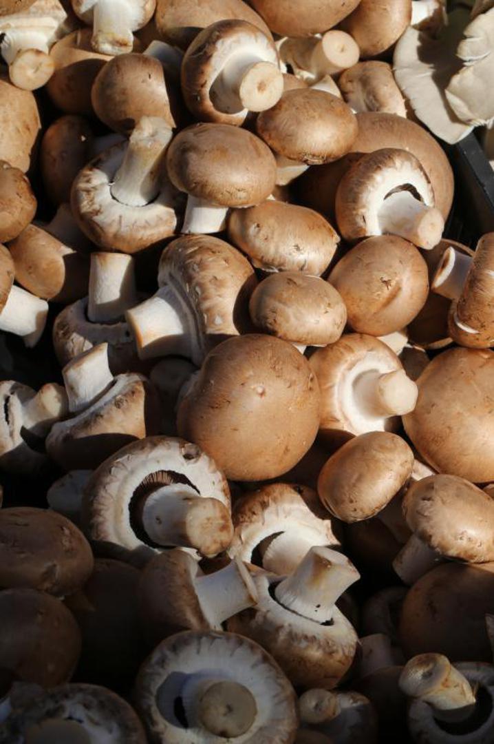 Simptomi trovanja gljivama javljaju se pola sata nakon jela ako se radi o slabijem trovanju gljivama koje ne dovodi do smrtnih slučajeva.