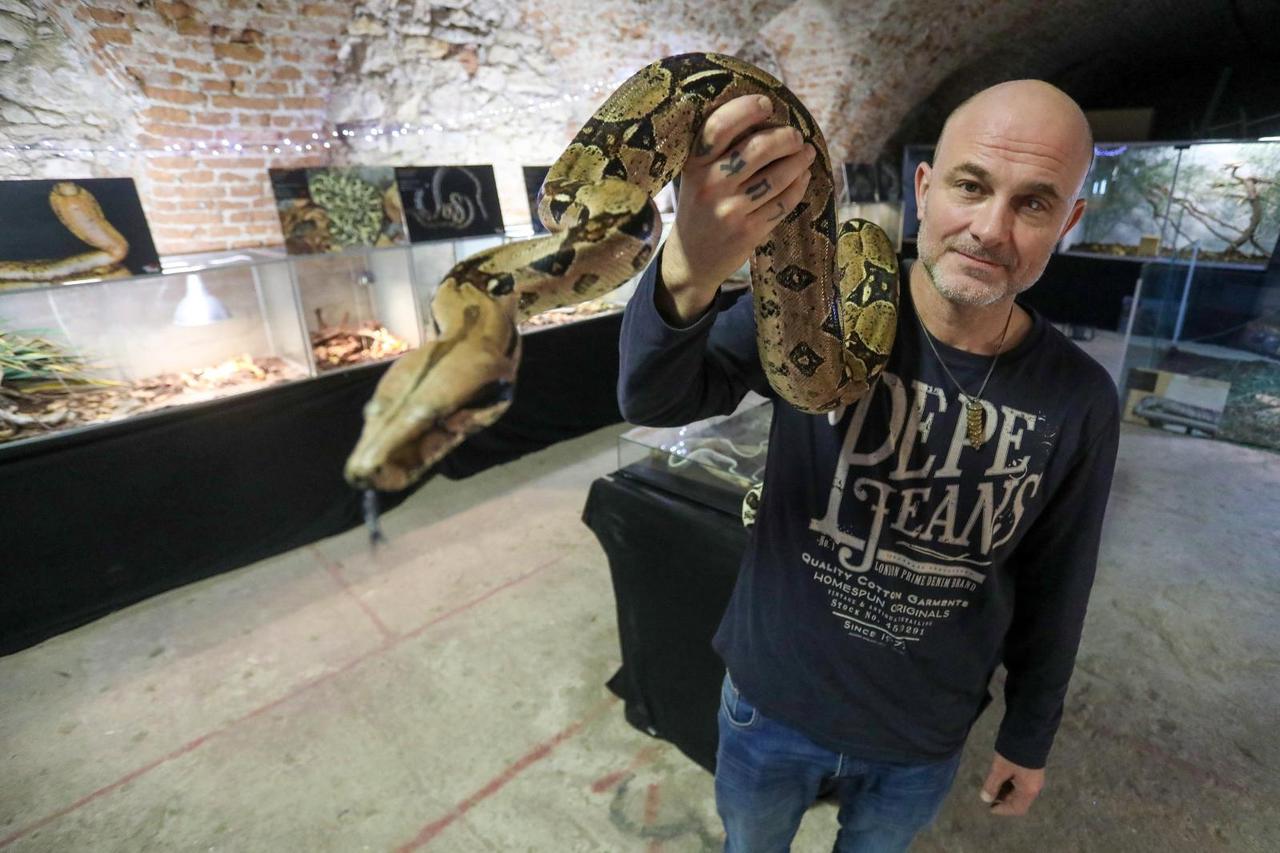 Izložba živih zmija "Advent uz zmije"