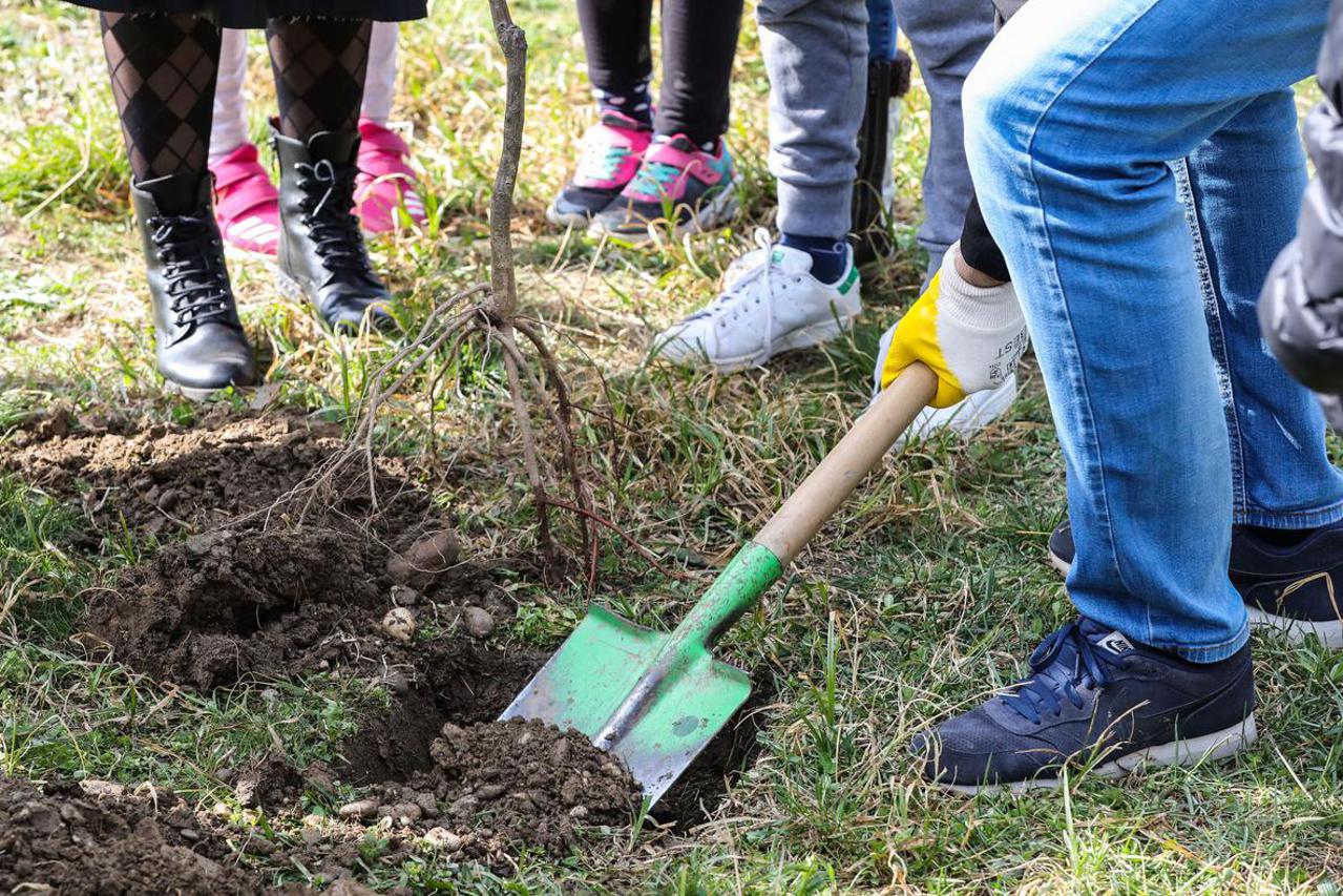 Zagreb: Učenici sadili stabla u sklopu akcije  „Zasadi stablo, ne budi panj!“