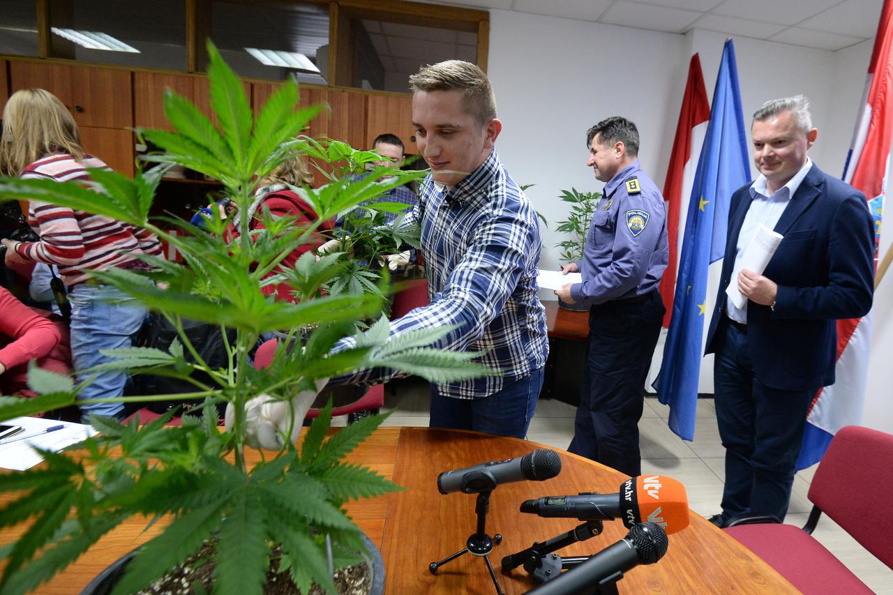 Razbijen lanac proizvođača marihuane u Strahonincu i Čakovcu