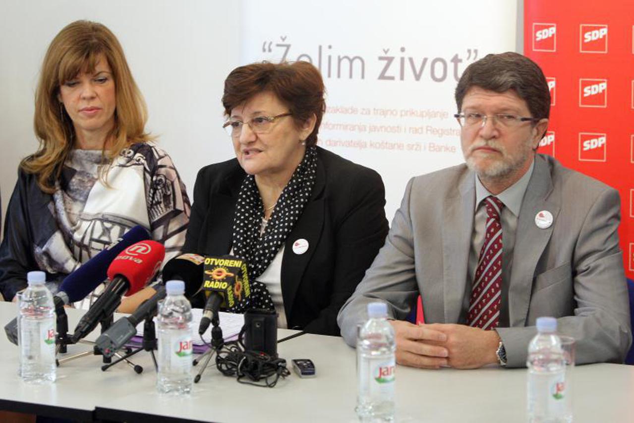 Zaklada Ana Rukavina, sdp,europarlamentarci