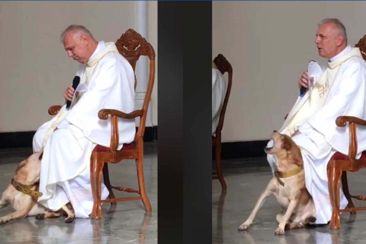 Pas i svećenik
