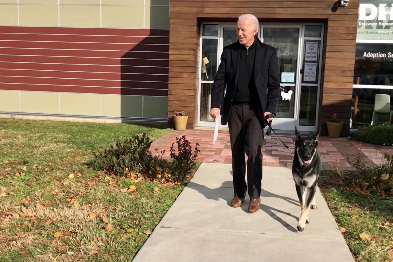 Joe Biden guides his new rescue dog Major in Wilmington