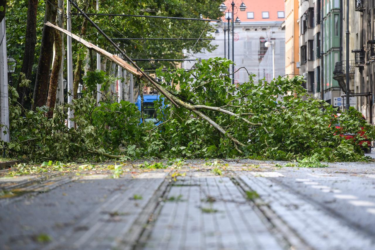 Zagreb: Stablo palo na tramvajsku prugu na Trgu Franje Tuđmana