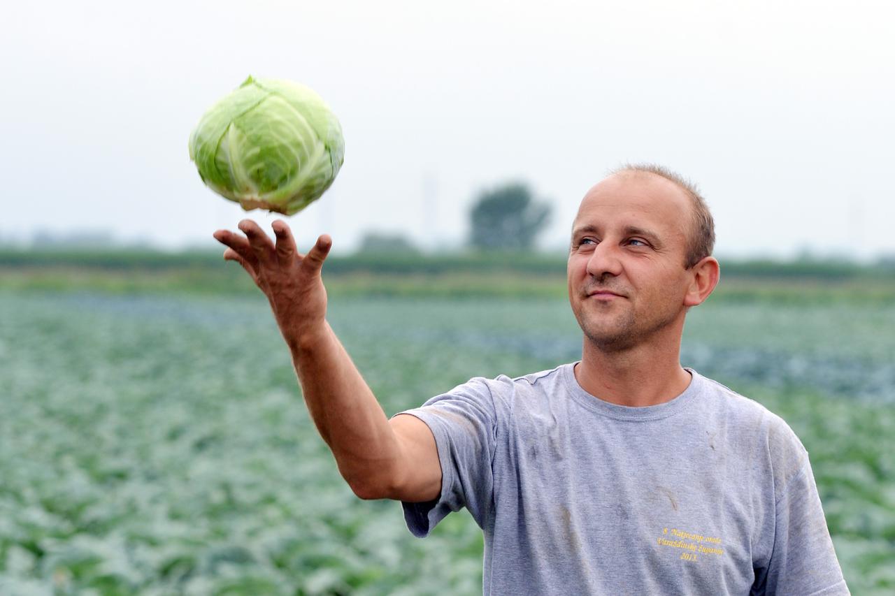 22.07.2014., Domitrovec - Obiteljsko poljoprivredno gospodarstvo Jurica Cafuk. Jurica Cafuk. 
