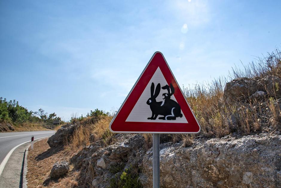 Vis: Neobičan prometni znak opasnosti koji upozorava na skok zečeva na putu