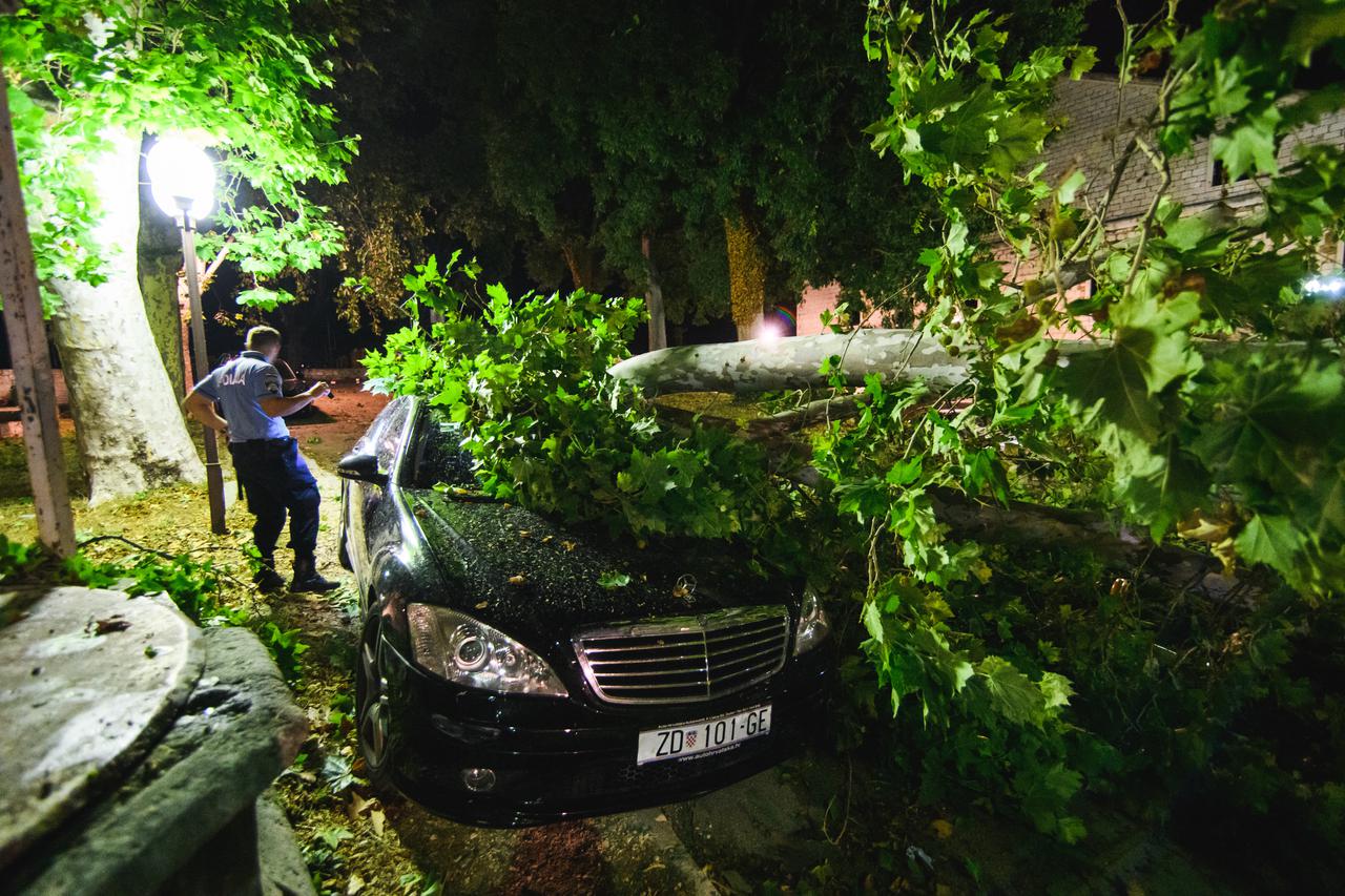 Zadar - vjetar čupao stabla, nastala velika materijalna šteta