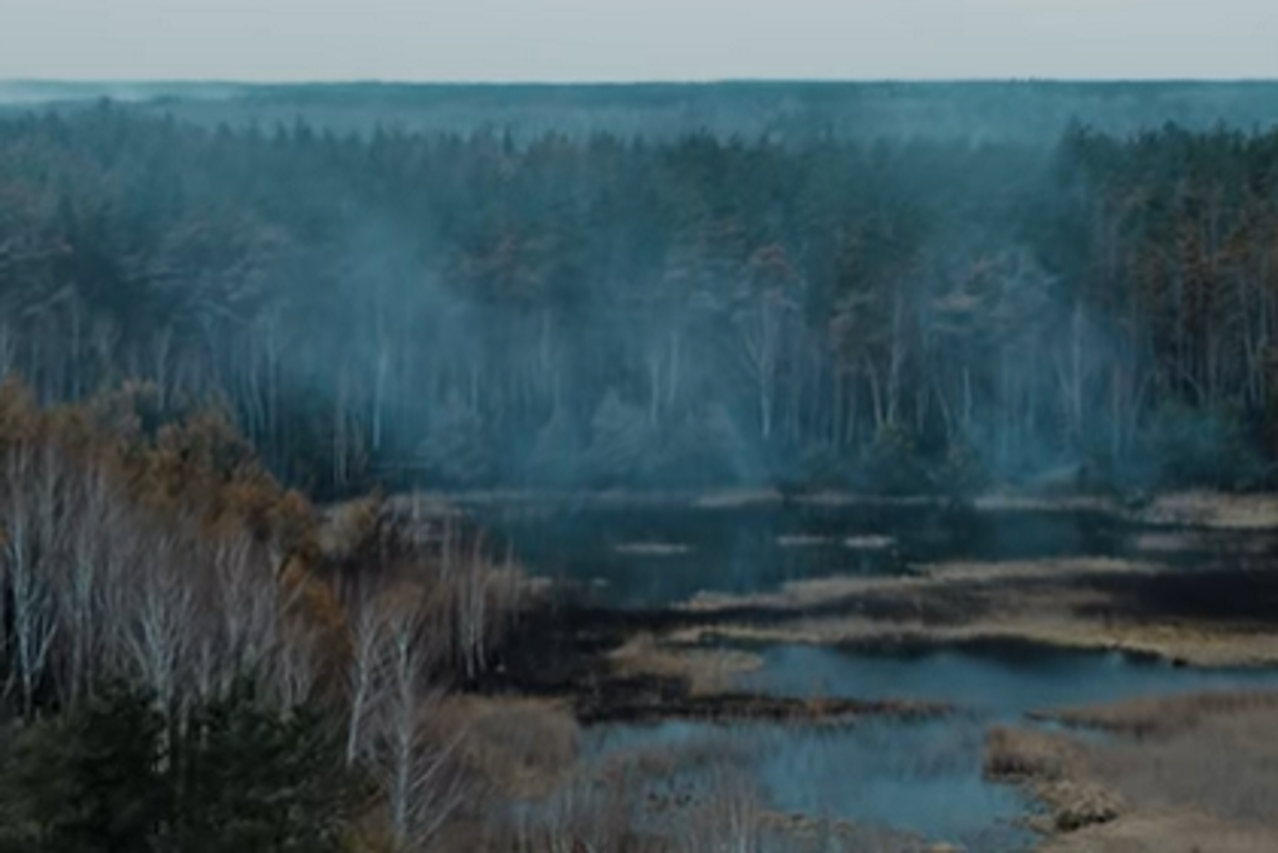 Posljedice šumskih požara u Černobilu