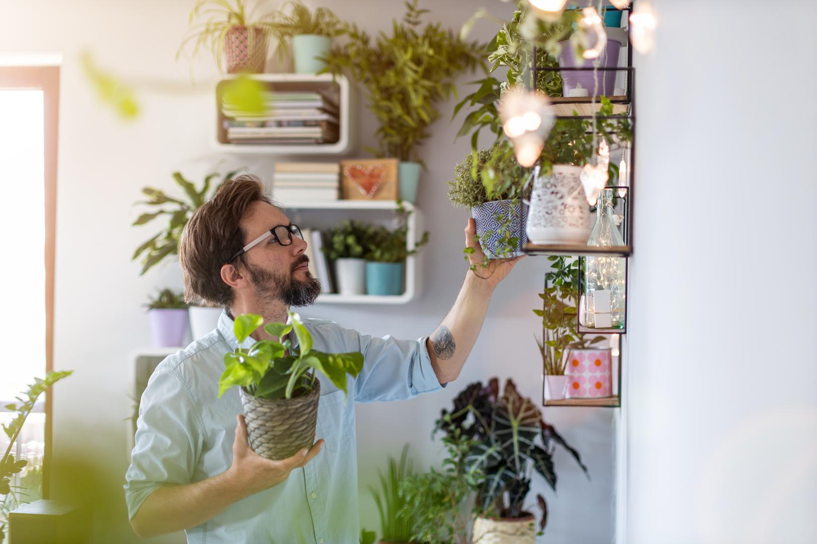 Pola ljudi na istraživanju reklo je da su odlučili biljkama ukrasiti dom jer ih to ispunjava, a i čini prostor ljepšim. 47 posto ipak kupuje biljke jer je to sada moderno. 81 posto odlučuje se na ukrašavanje doma biljkama jer imaju pozitivan učinak na mentalno i fizičko zdravlje.