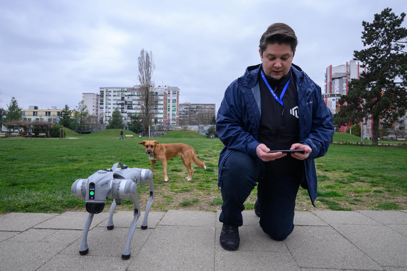 07.03.2024., Velika Gorica -  Milan Rajcevic, vlasnik i direktor tvrtke Notum Robotics sa suradnikom Ivanom Batinicem prosetao je Parkom dr. Franje Tudjmana u velikoj Gorici u drustvu robota psa. Za robota su podjednako bili zainteresirani prolaznici i njihovi ljubimci psi. Robot pas je komercijalni proizvod koji se radi po narudjbi, a ono sto je kod njega interesantno i unikatno su softverska rijesenja. Poanta je da ta platforma bude autonomna, bez ljudske intervencije i sa minimalnim odrzavanjem izvrsava zadatke prema svojem programu, da se snalazi u nepoznatim okolnostima, po nepoznatom terenu. Primjene su neogranicene, od sigurnosnih primjena, sluzbe spasavanja, nadzora te interakcije i edukacije. Puni se do 24 sata zbog tehnologije baterije i moze raditi do 3 sata, a trcati moze brzinom do 20 km/h. Trenutno nije vodootporan ali s vremenom moze postati i vodootporan i vatrootporan za siri spektar primjena. Milan Rajcevic.
 Photo: Davor Puklavec/PIXSELL