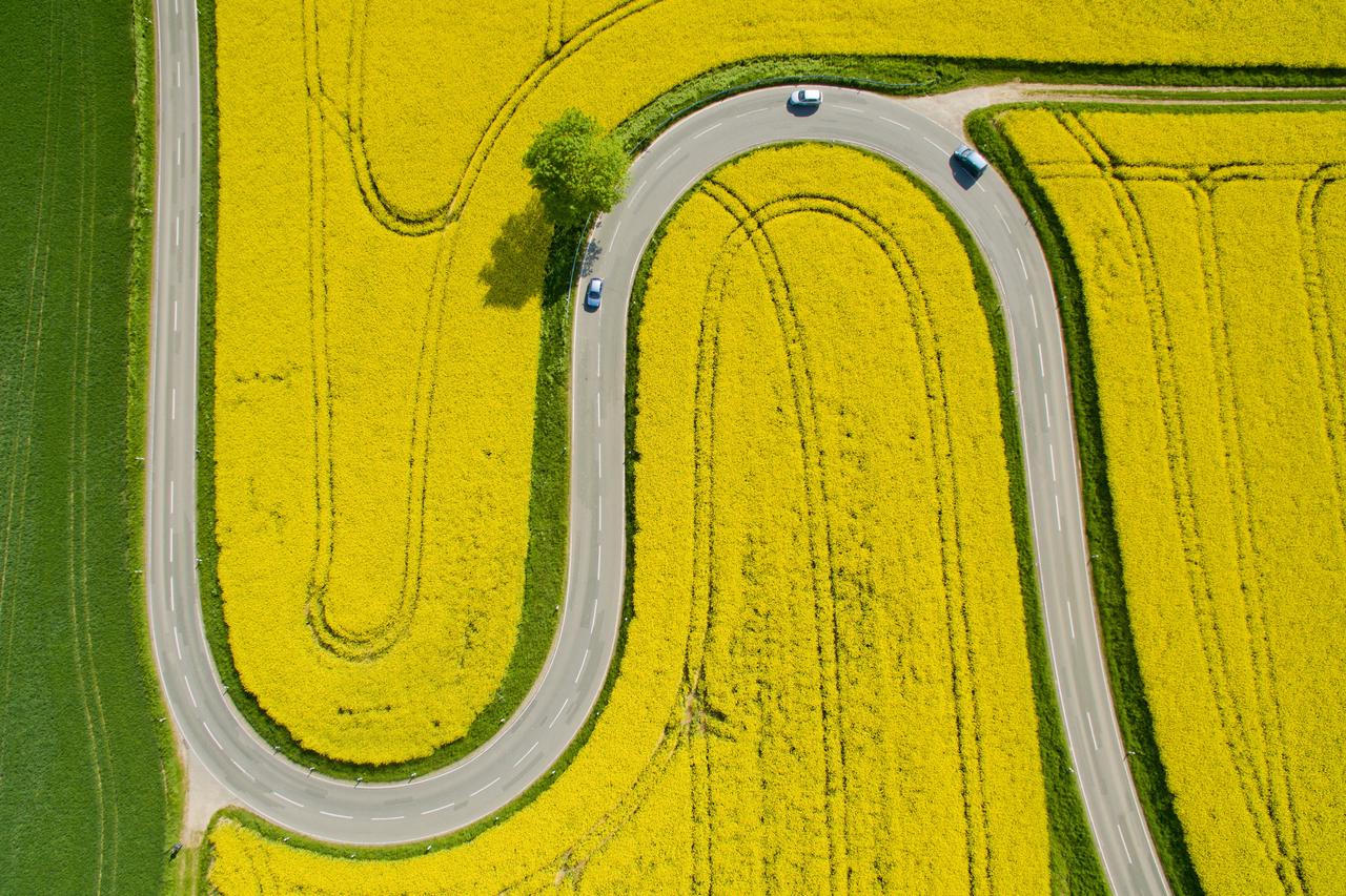 An aerial view of cars making their way through flowering canola fields on a serpentine section of the L401 highway near Nienstedt, Germany, 12 May 2016. Photo:?JULIAN?STRATENSCHULTE/dpa/DPA/PIXSELL