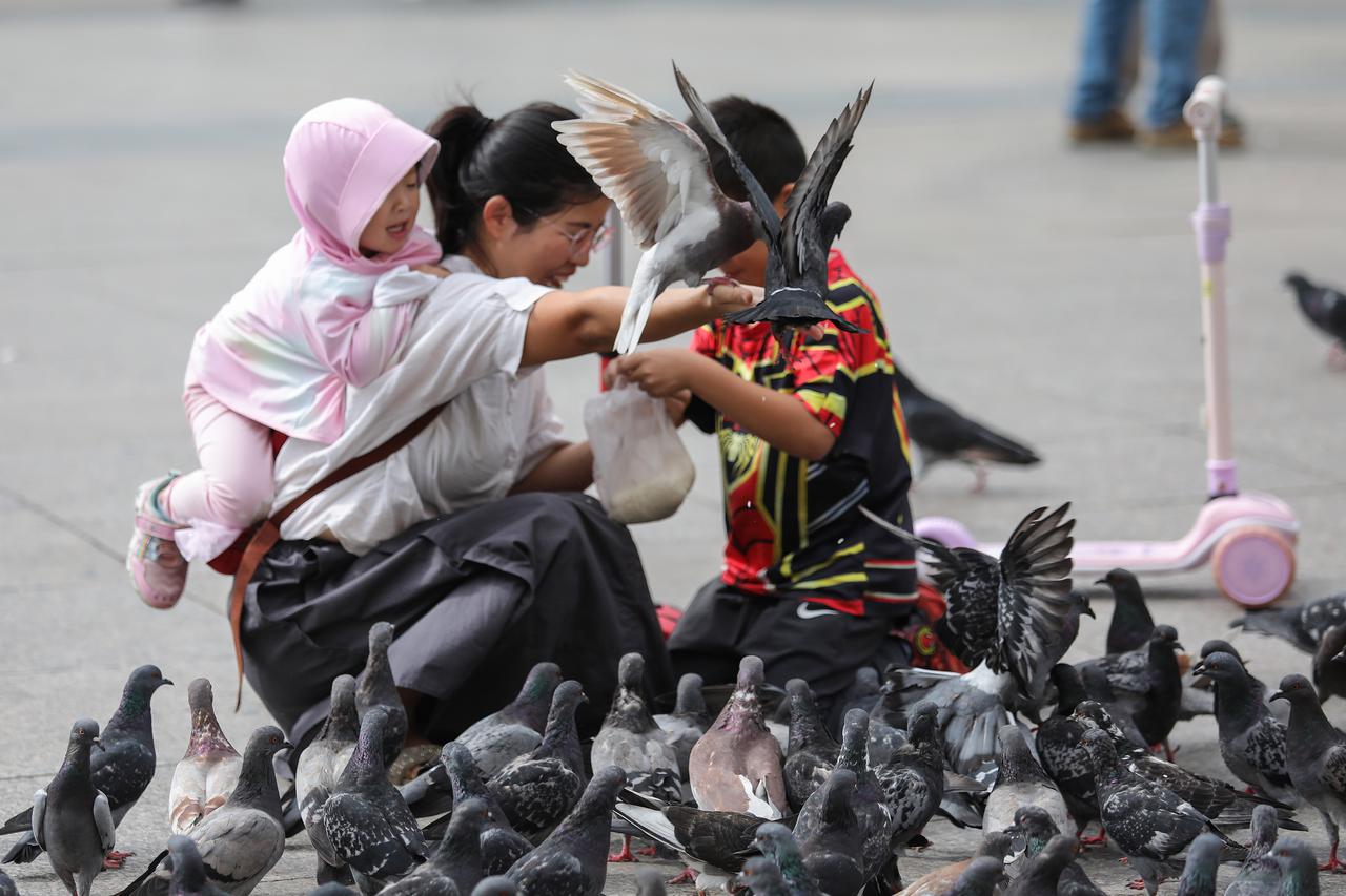 Zagreb: Turisti iz Azije uživaju u društvu zagrebačkih golubova
