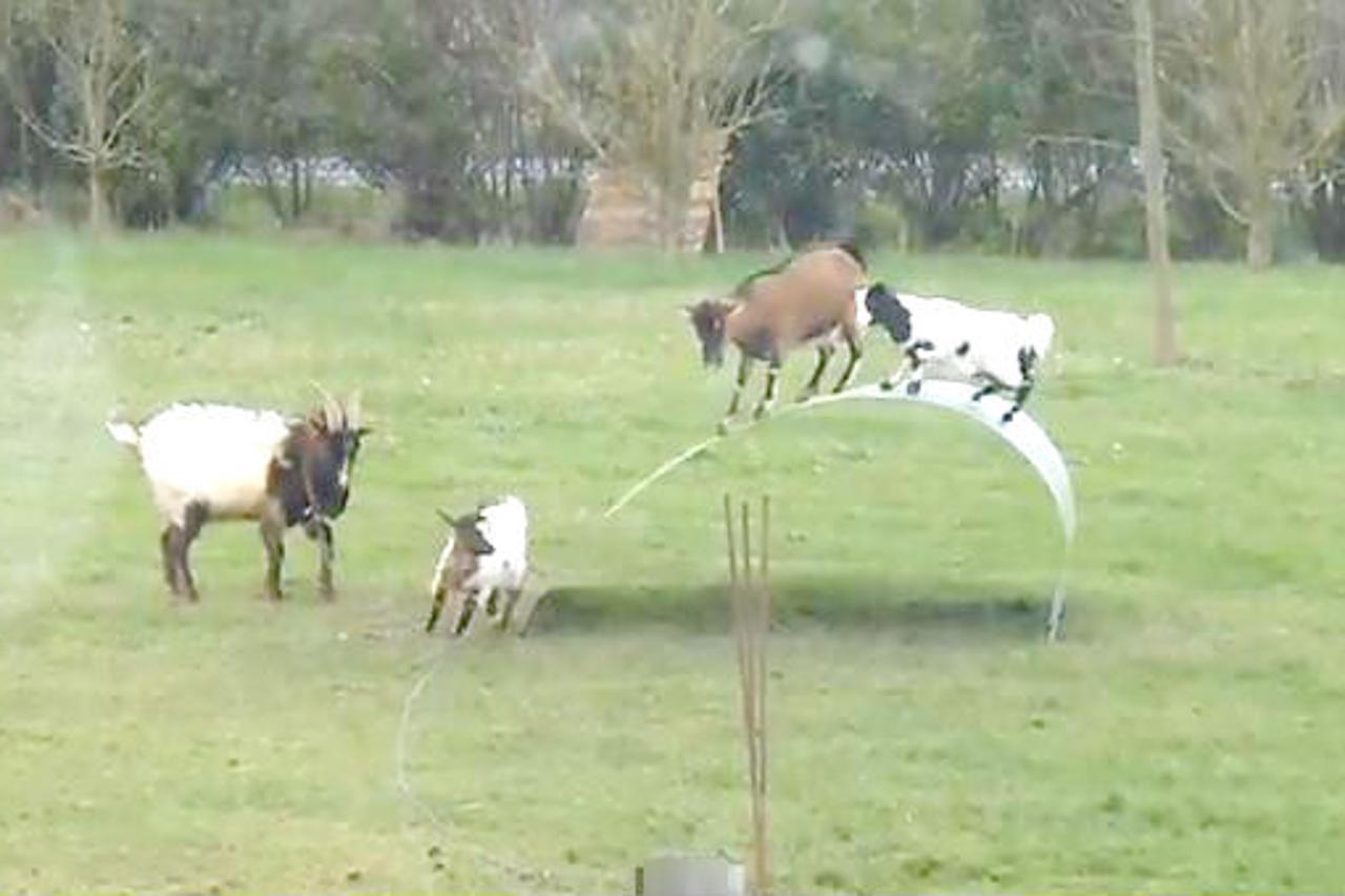 Koze opet postale hit na YouTubeu