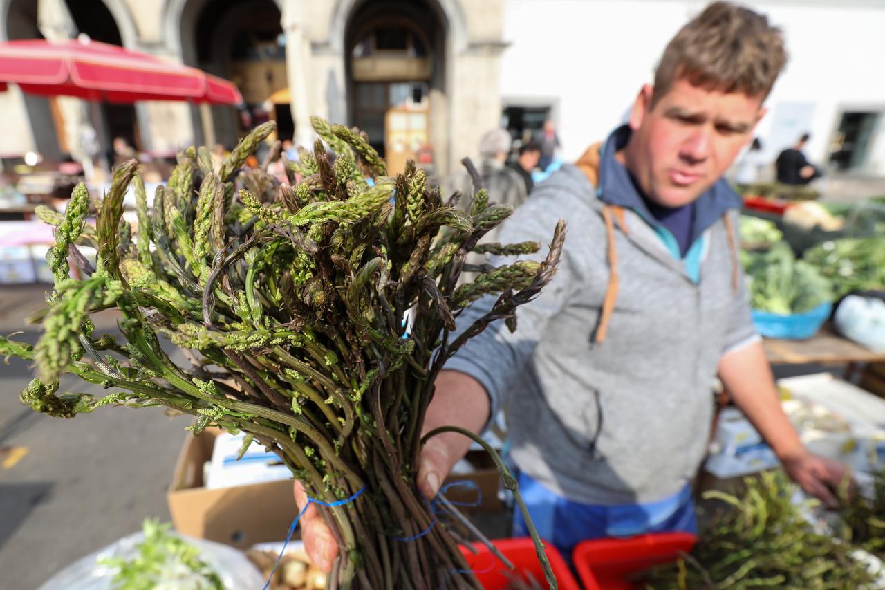 Zagreb: Na gradskim tržnicama Dolac i Kvatrić u ponudu su stigle i prve šparoge