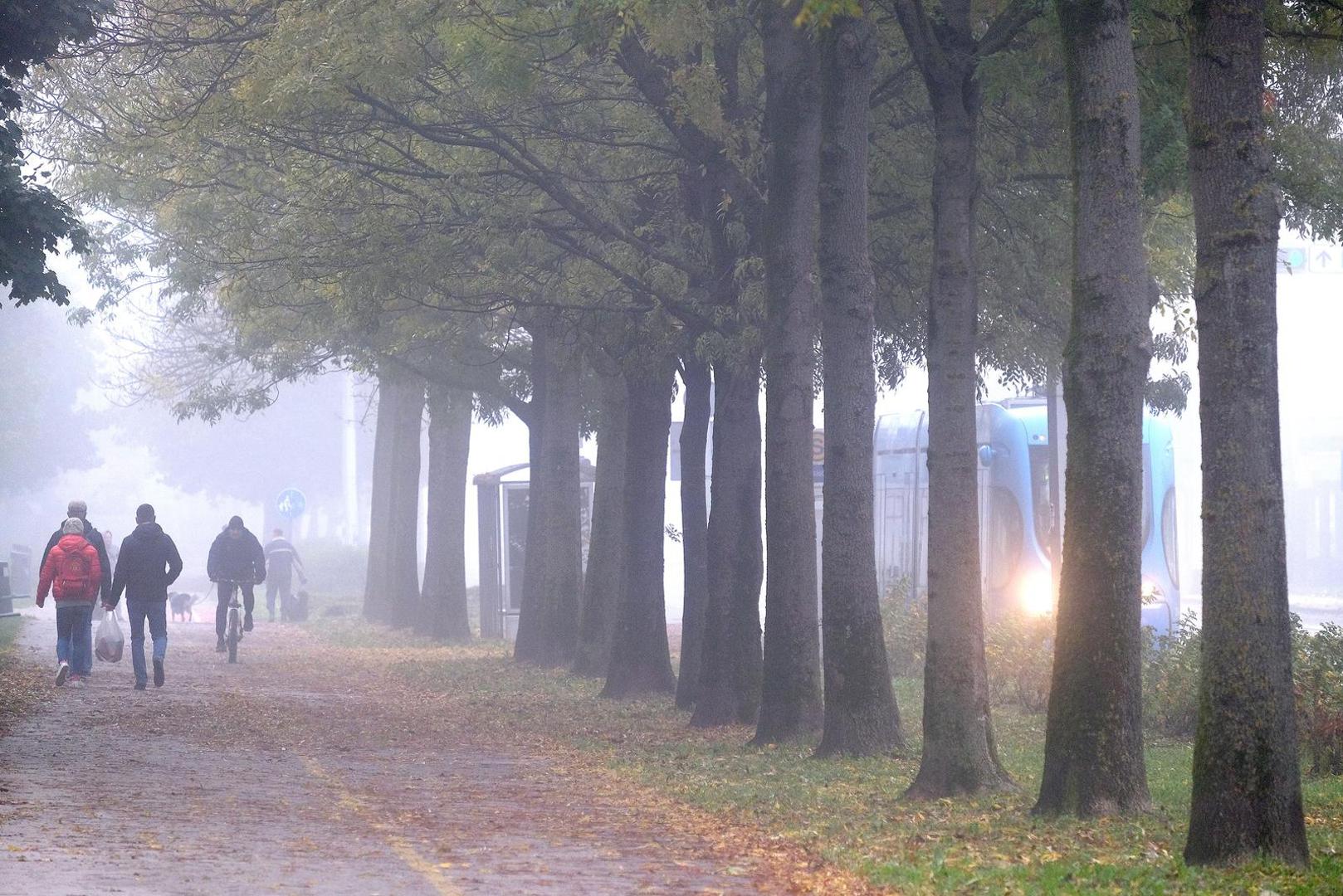 Prvo jutro studenog, mjeseca u kojemu jesenski dani postaju sve kraći i sve hladniji Zagrepčani su dočekali pod pokrivačem od magle. 