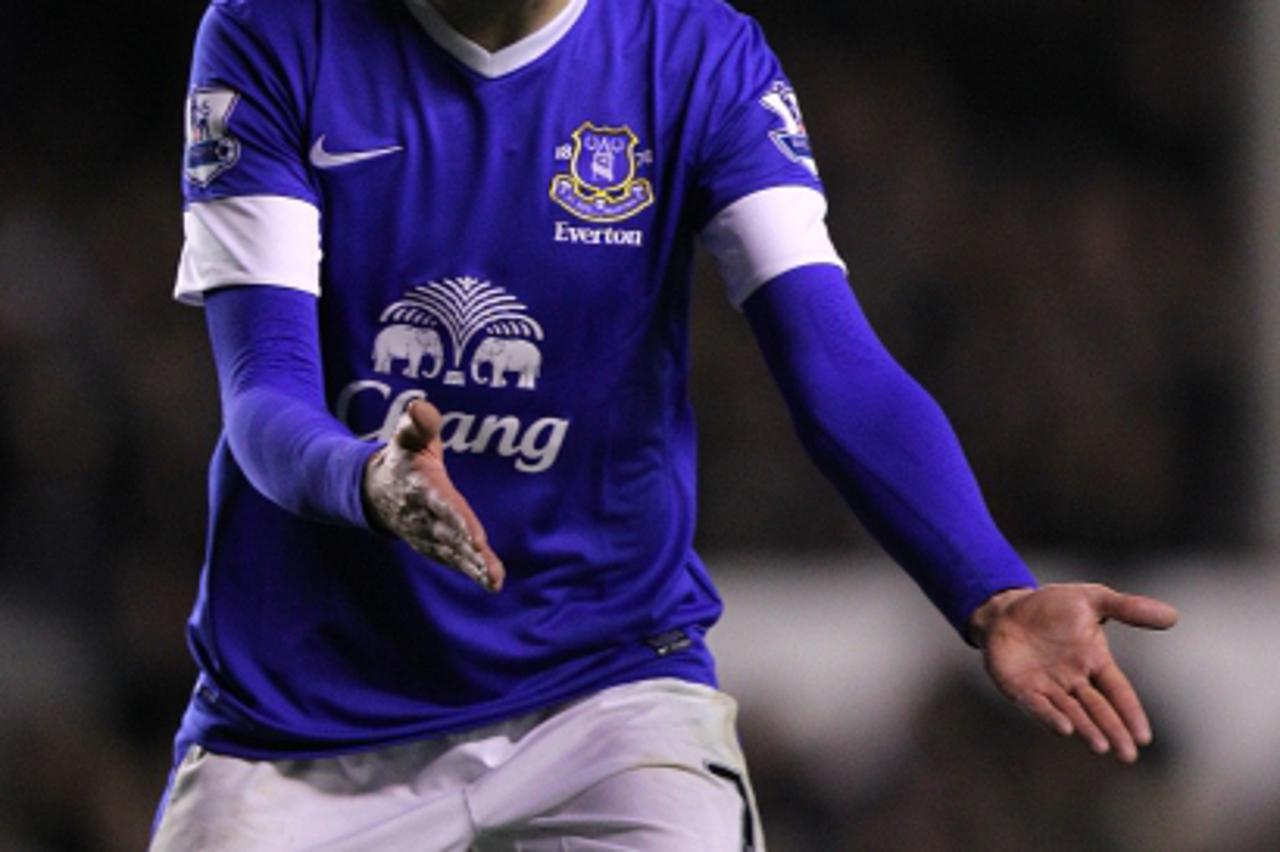 'Nikica Jelavic, Everton Photo: Press Association/Pixsell'