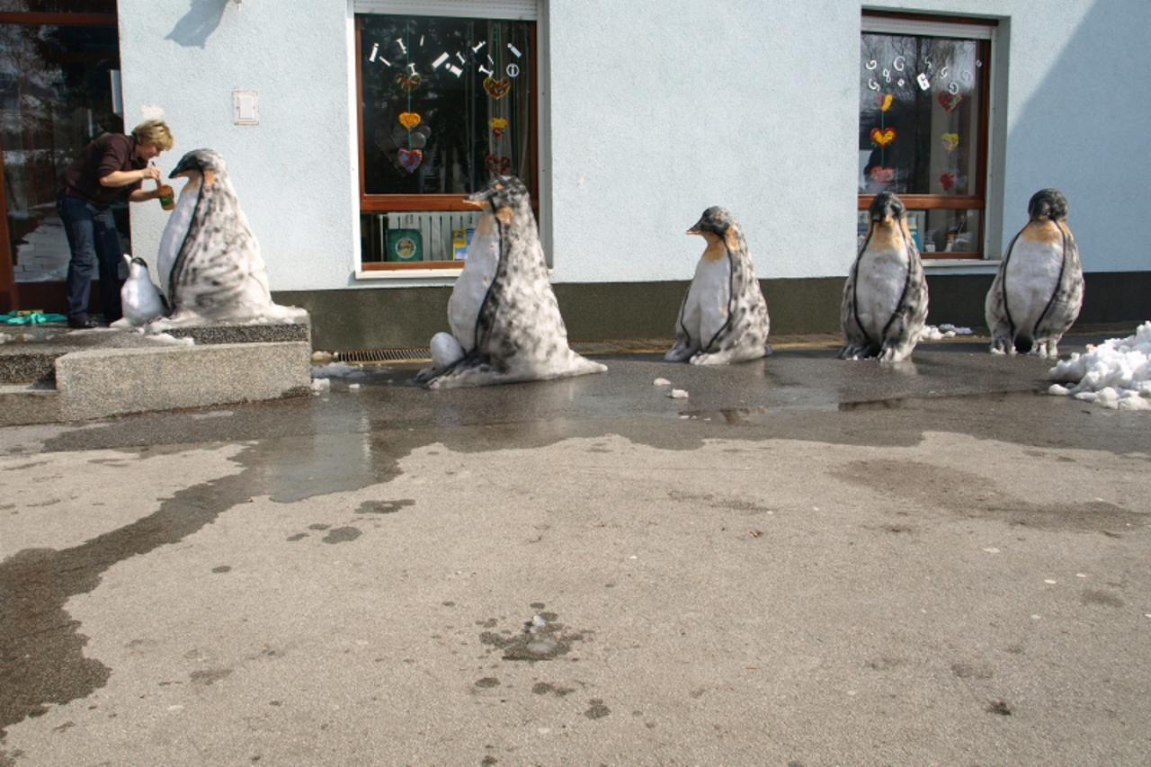 '12.03.2010... Krapina, Hrvatska... Ivanka Nezmahen radi skulpture od snijega.. Nakon pande i kornjace na red su dosli i pingvini... Photo: Matija Topolovec/PIXSELL'