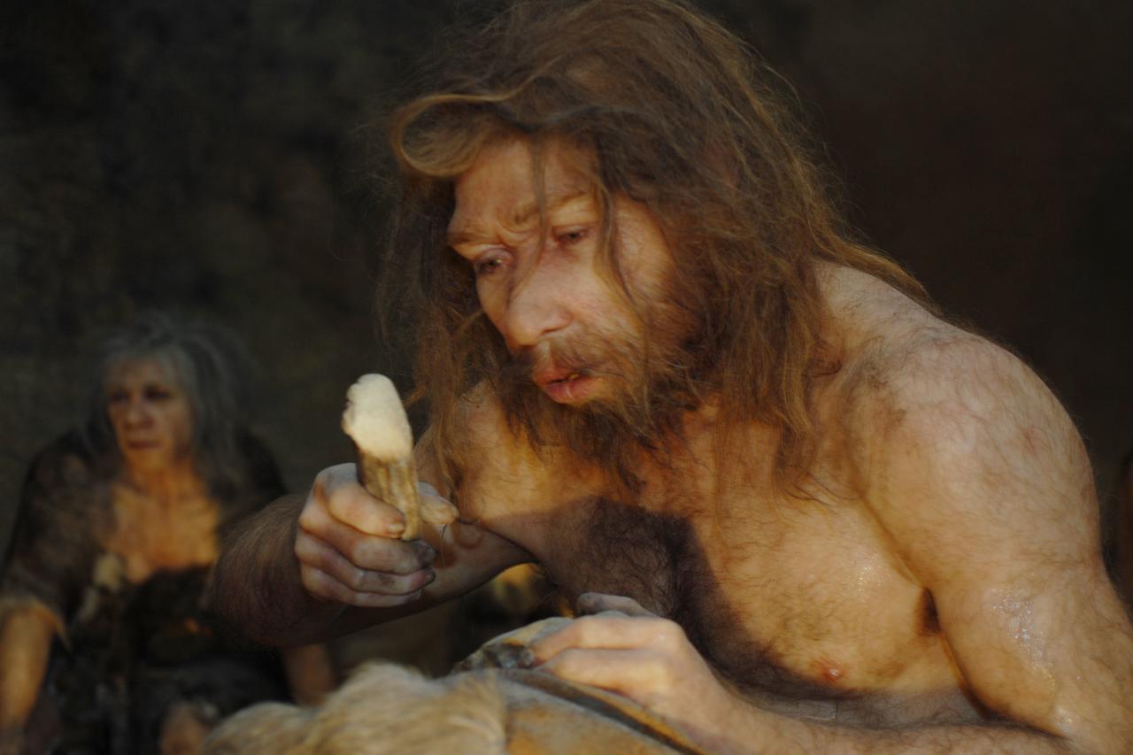 13.02.2010., Krapina - Novi Muzej krapinskih neandertalaca najmoderniji je takve tematike u Europi, a za posjetitelje ce biti otvoren krajem veljace. Poceli su ga graditi 1999. godine, na 100. obljetnicu otkrica krapinskog pracovjeka, i to blizu nalazista