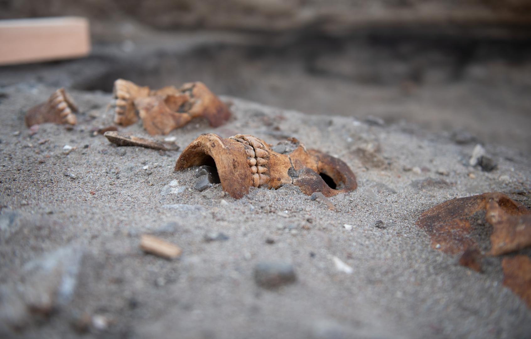 Njemački arheolozi pronašli su tri ljudske lubanje i jedan kostur u kamp-području Flüggerteich na otoku Fehmarnu u Baltičkom moru.

