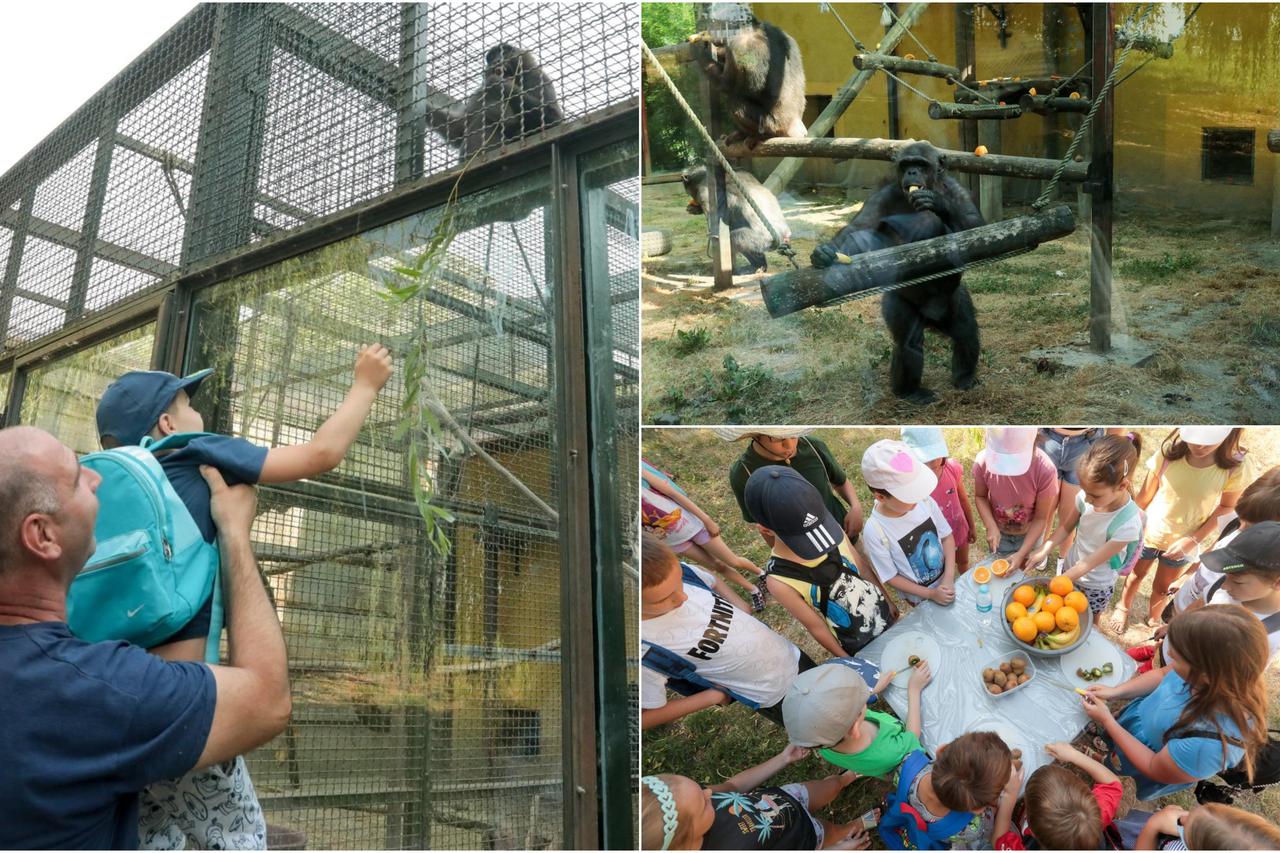 Osječki Zoološki vrt organizira Ljetnu školu za djecu
