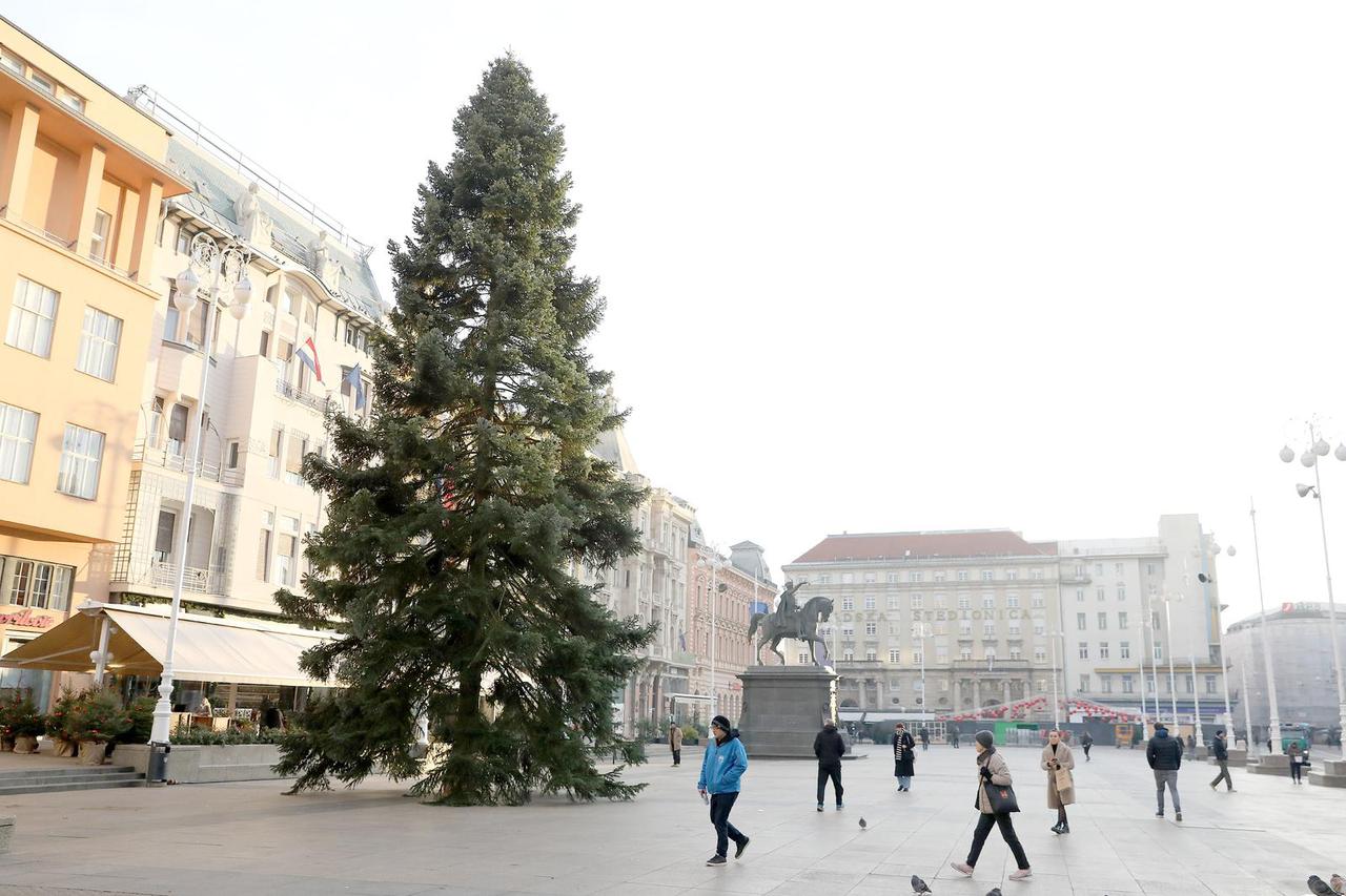Zagreb: Na Trgu bana Jelačića postavljen bor