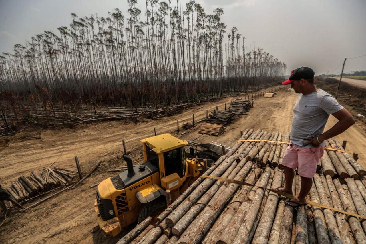 Čelnici G7 ponudili 20 milijuna dolara za gašenje požara u Amazoni