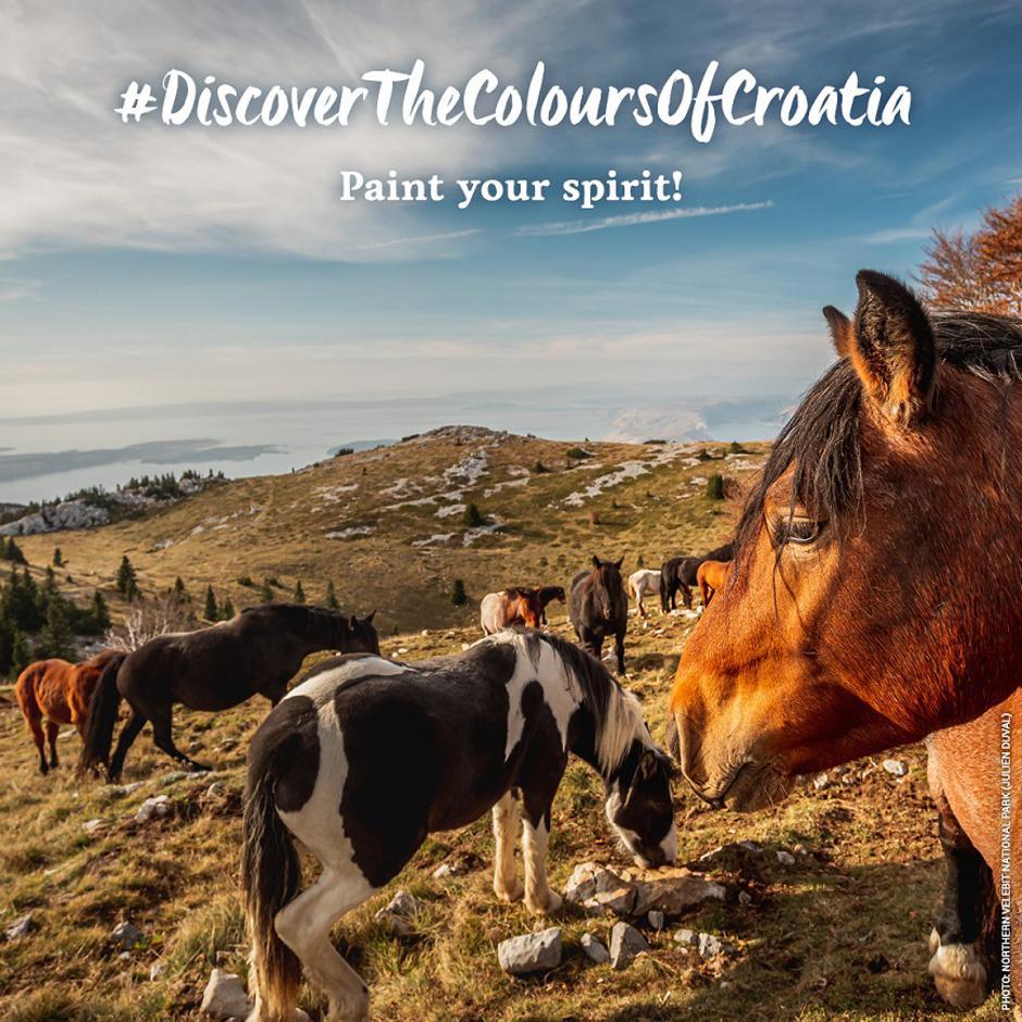 HTZ pokrenuo kampanju „Discover The Colours Of Croatia“