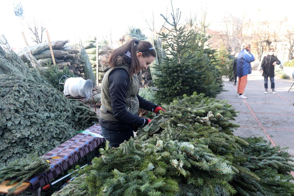 U Rijeci je počela prodaja božićnih drvaca