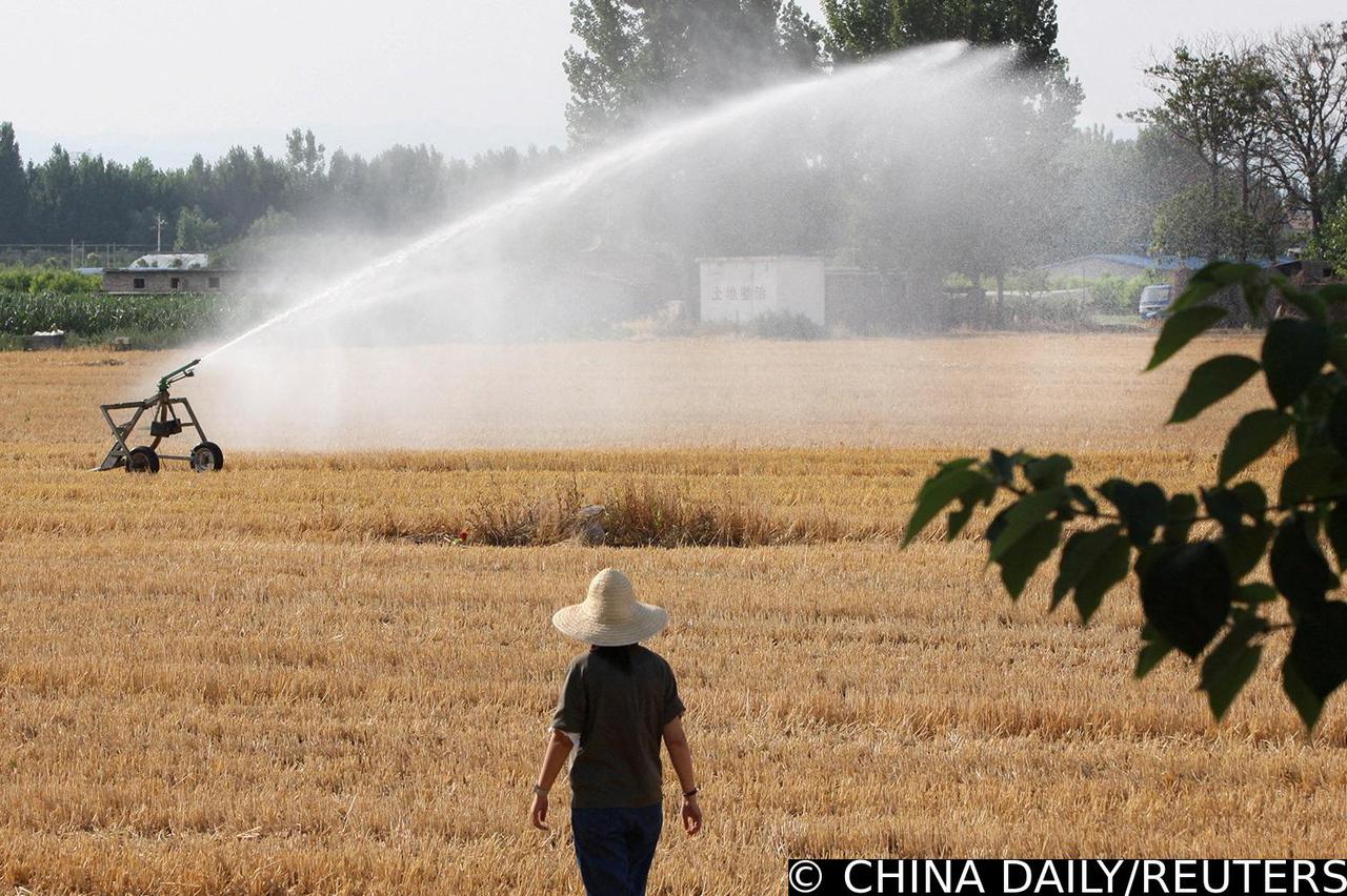 FILE PHOTO: Sprinkler irrigates a corn field in Xiliangshi village