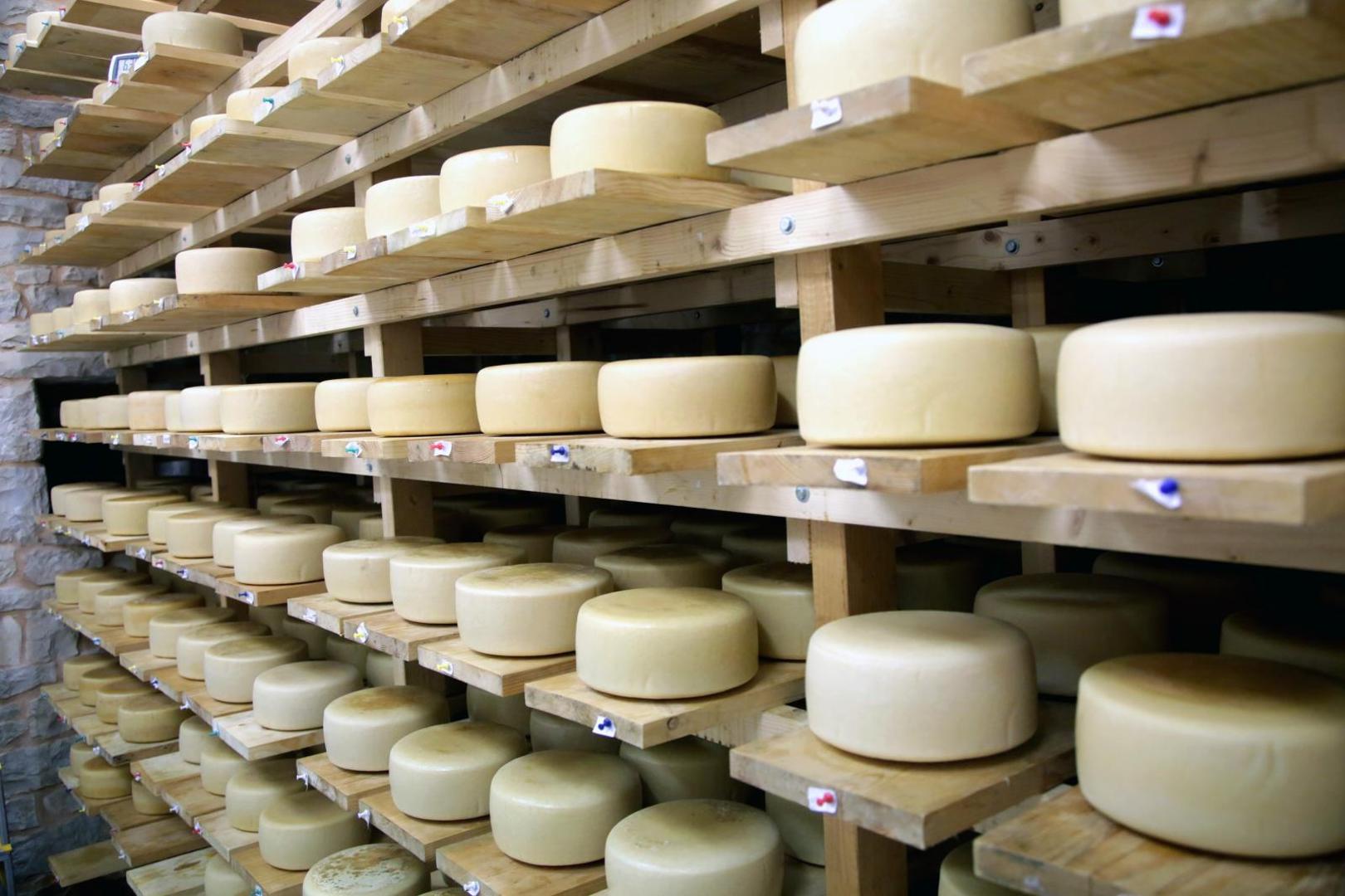 Pomuženo mlijeko prerađuje se svaki drugi dan, a za proizvodnju sira zadužene su magistrice prehrambene tehnologije