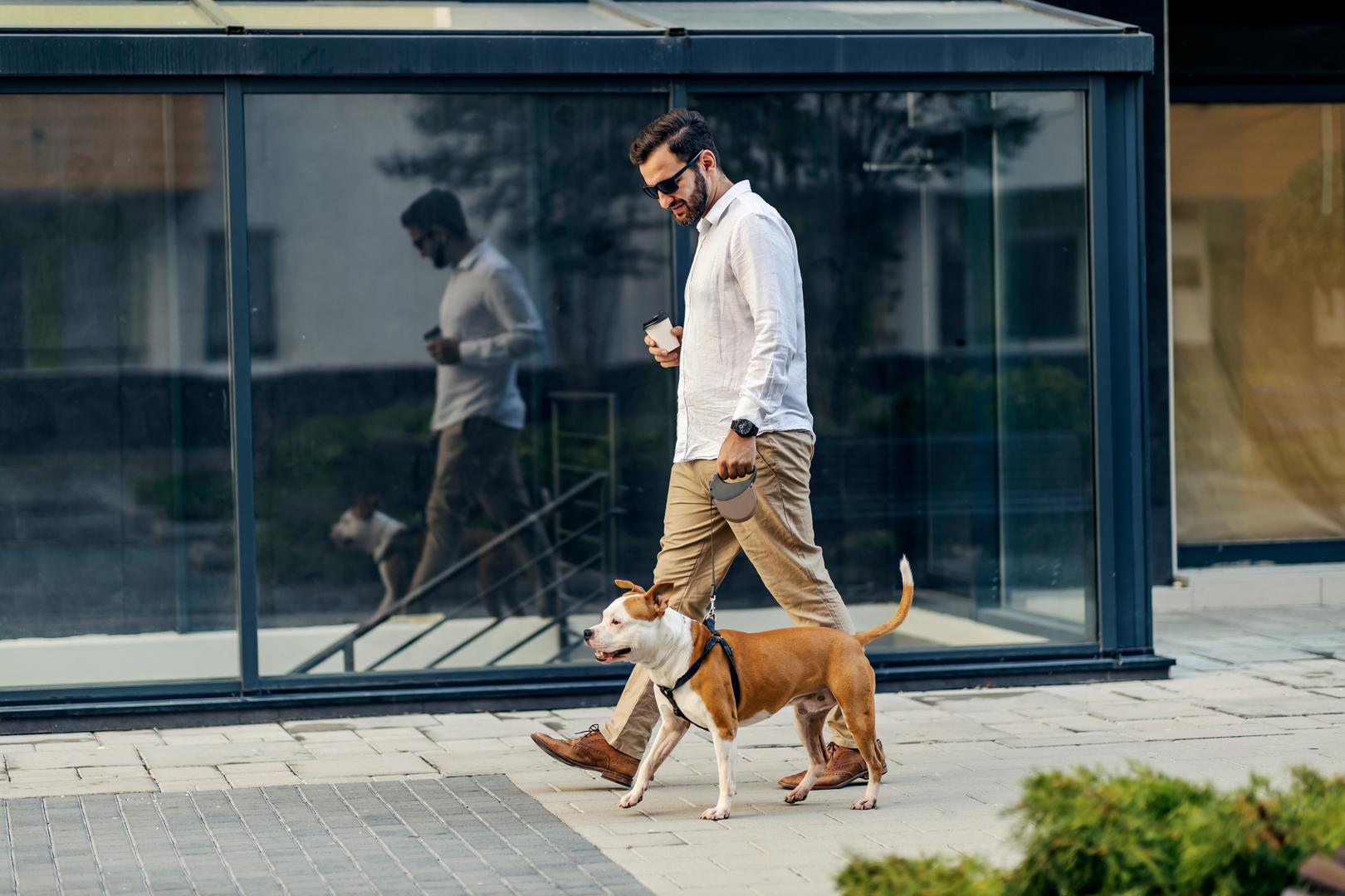 5. Mrze svaki dan ići istom rutom u šetnju: Iako mnogi psi vole dobru rutinu, to ne znači da žele ići u istu šetnju svaki dan. Zapravo, veterinar tvrdi: 'Idite različitim putovima. Natjerajte ih da istražuju. Trebaju namirisati različite stvari'.
