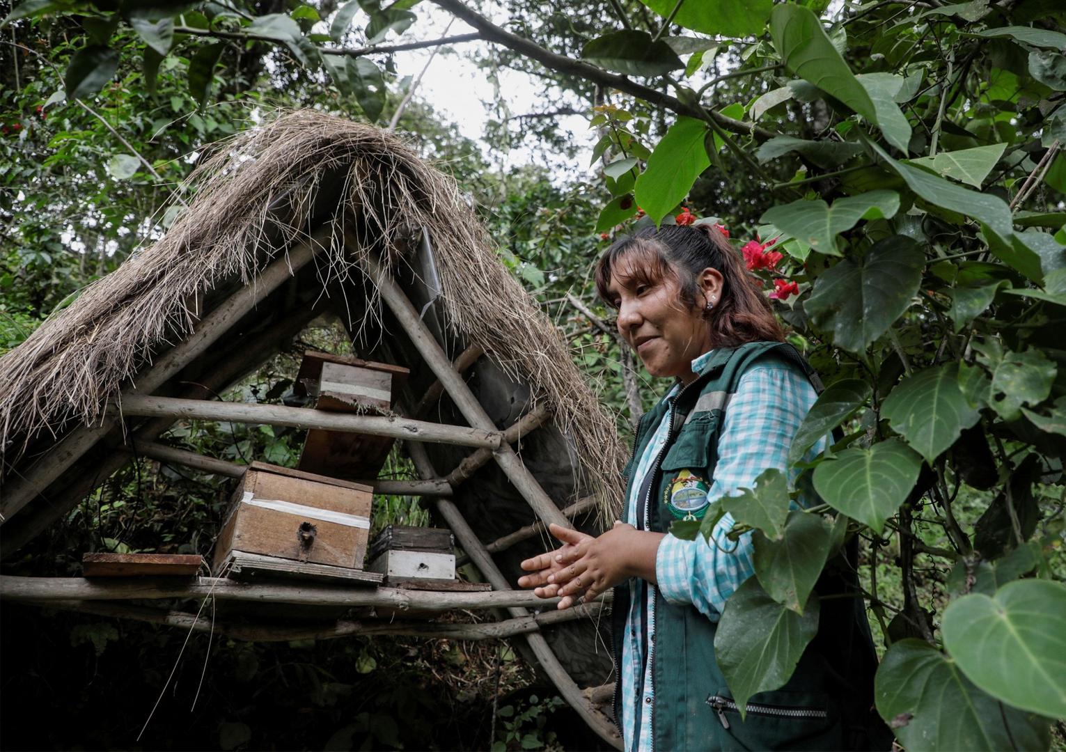Cynthia Callizaya stands next to the honeycombs of native bees at the bee sanctuary Las Orquideas Ecoparque in Cotapata, Yungas Cynthia Callizaya stands next to the honeycombs of native bees at the bee sanctuary Las Orquideas Ecoparque in Cotapata, Yungas, Bolivia, January 13, 2021. Picture taken January 13, 2021. REUTERS/David Mercado DAVID MERCADO