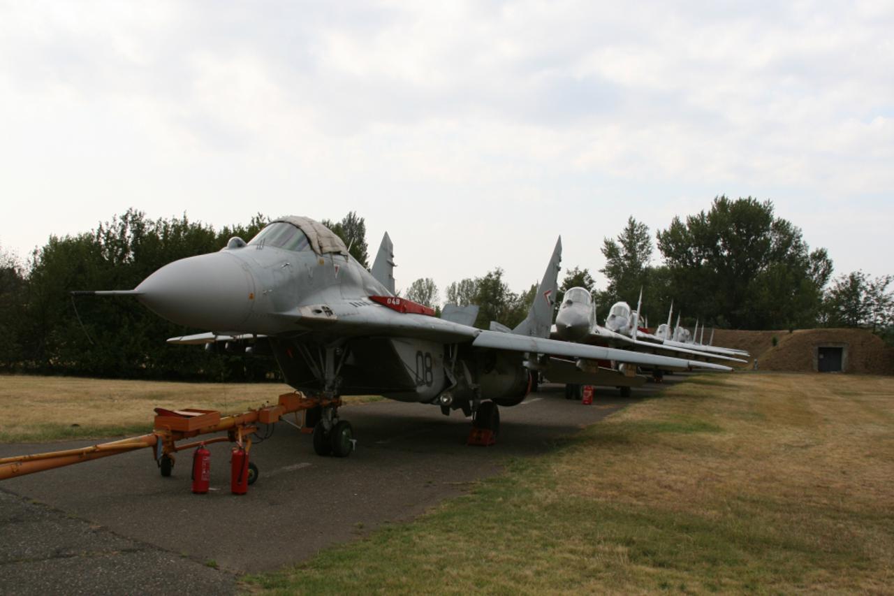 MiG-29 (1)