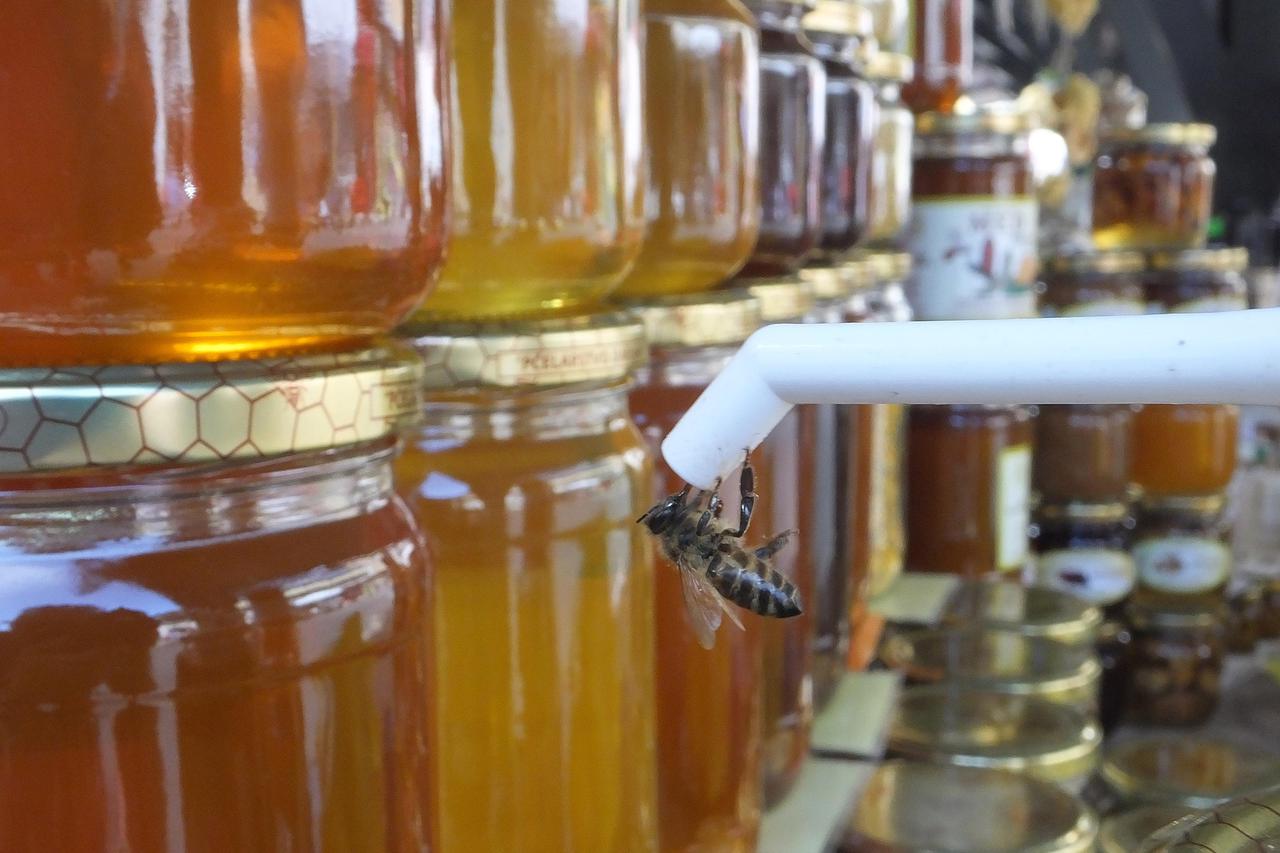 Pula: Na Zelenoj tržnici bogata ponuda meda iz raznih dijelova Hrvatske